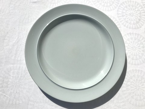 Royal Copenhagen
Blue border
dinner Plate
# 625 #3070
*100DKK