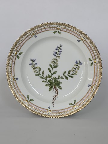 Flora Danica
Plate 19,5 cm. 
Royal Copenhagen