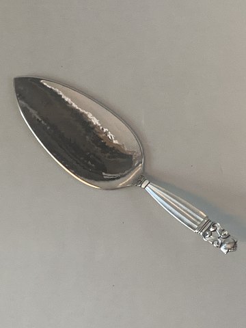 item no: 503504
