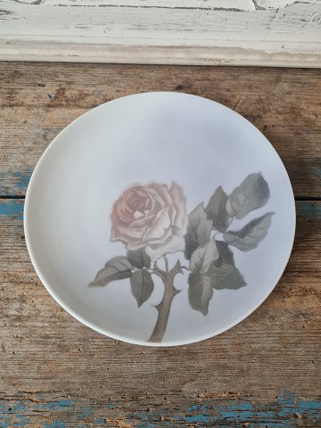 Royal Copenhagen Art Nouveau weighing plate decorated with rose no. 81/1120