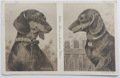 Postkort: Par gravhunde - Fætter Franz og Fromme Helene i 1912