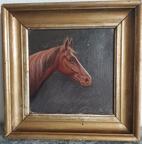 Maleri: Portræt af hest 1932