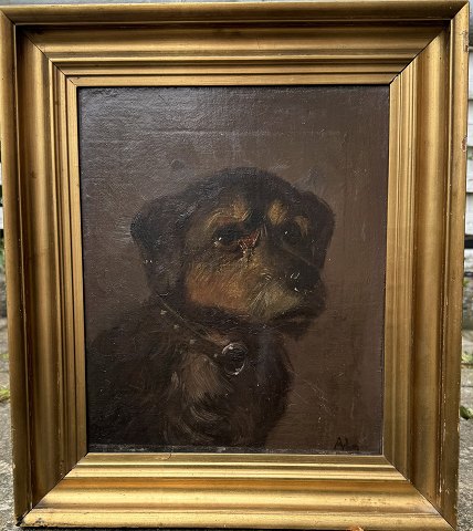 Painting by Niels A. lytzen: Dog Portrait