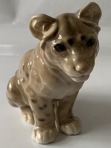 Lion cub in porcelain from Bing & Grøndal, 1st assortment, deck. No. 1923, Mg.