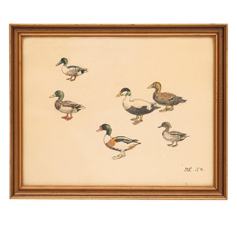 Aquarelle
