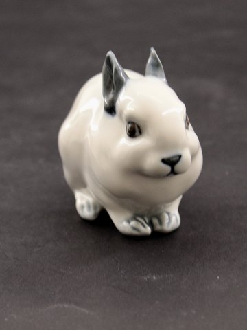 item no: 615474