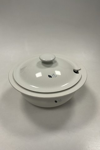 Bestellnummer: 623538