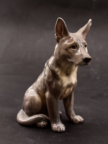 Bestellnummer: 626851