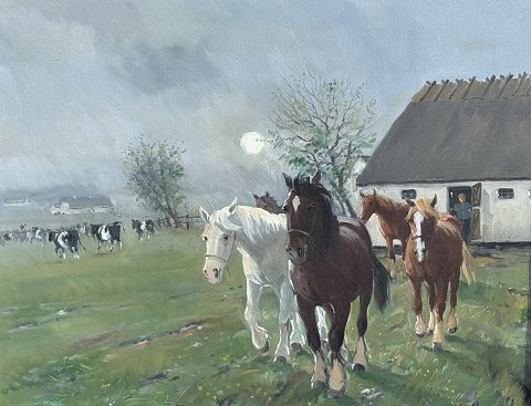 vare nr: 644929