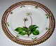 Royal Copenhagen Flora Danica Side Plate No 3552 (3)