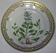 Royal Copenhagen Flora Danica Lunch Plate No 3550