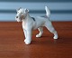 Ruhåret Foxterrier.
B&G solgt