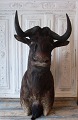 Skuldermonteret gnu - Black wildebeest fra 2009