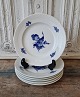 Royal Copenhagen Blue Flower lunch Plate no. 8095 - 21 cm.