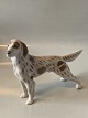 Royal Copenhagen hundefigur, Setter
Dekorationsnummer 3252
SOLGT