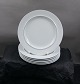 Blaukant dänisch Fayence Geschirr von Alumina. Set von 6  Lunchtellern 21cm