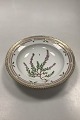 Royal Copenhagen Flora Danica Deep Plate No 20/3546 or 604