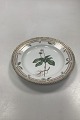 Royal Copenhagen Flora Danica Salat Tallerken No 20 / 3573