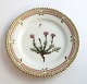 Royal Copenhagen, Flora Danica. Kage tallerken. Design #3552. Diameter 14 cm. (1 
sortering). Silene acaulis L