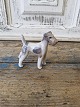Royal Copenhagen Figurine - Terrier no. 3170
