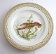Royal Copenhagen. Fauna Danica. Fish Plate. Dinner plate. Model # 19 - 3549. 
Diameter 25 cm. (1 quality). Nephrops norvegicus