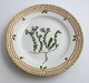 Royal Copenhagen, Flora Danica. Cake plate. Design # 3552. Diameter 14,5 cm. (1 
quality). Sedum anglicum Huds