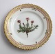 Royal Copenhagen, Flora Danica. Cake plate. Design # 3552. Diameter 14,5 cm. (1 
quality). Silene acaulis L