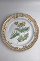 Royal Copenhagen Flora Danica Tallerken med gennembrudt kant No. 20/3526