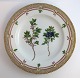 Royal Copenhagen Flora Danica. Dinner plate. Design # 3549. Diameter 25 cm. (1 quality). Produced before 1890. Vaccinium uliginosum L