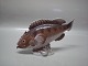 Dahl Jensen figurine
1386 Great Redfish (DJ) 23 cm