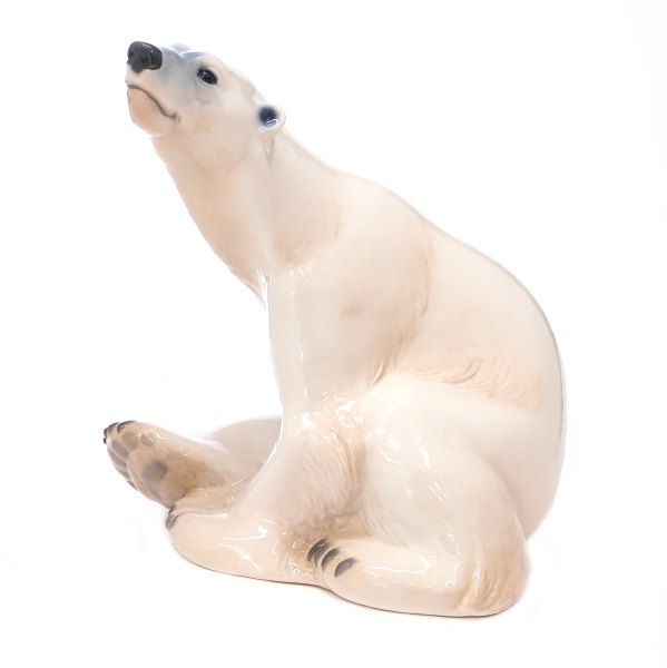 Very large B&G polar bear 1954. 2nd quality in a very nice condition. H: 42cm